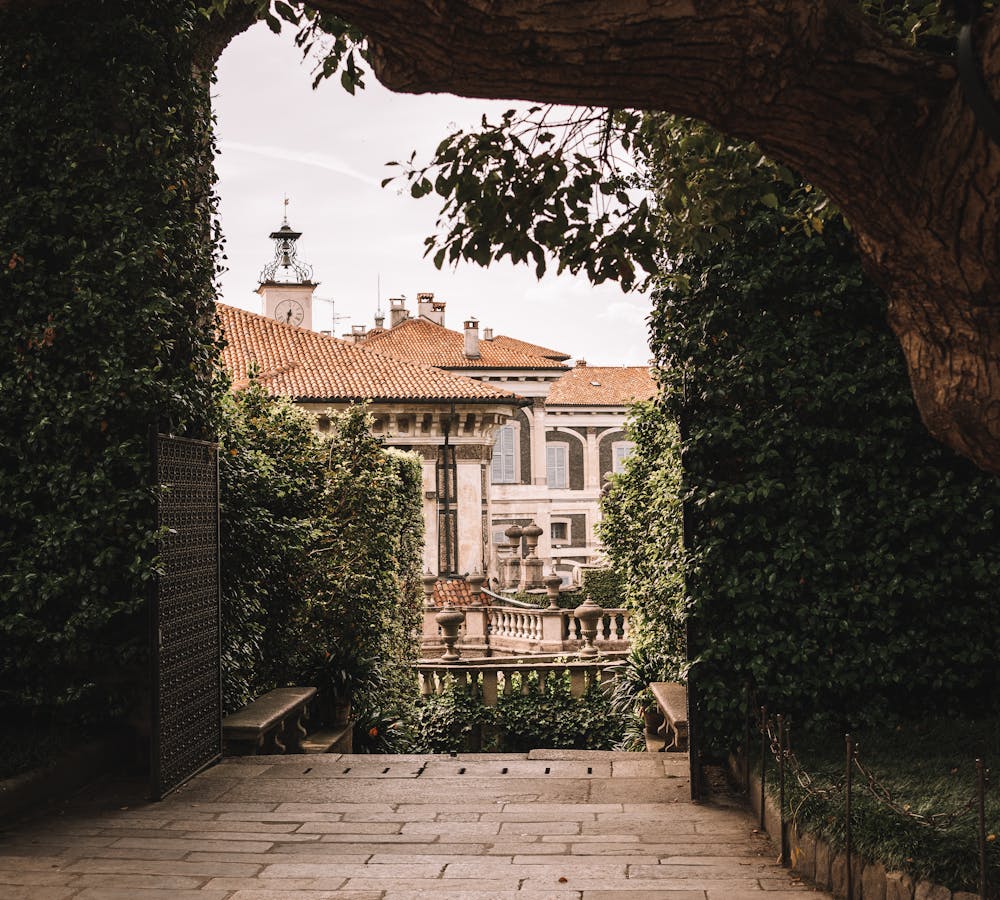 pexels-photo-18499033