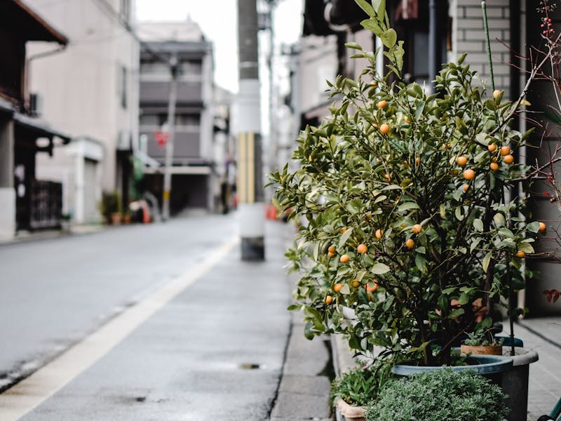 pexels-photo-5768926-1