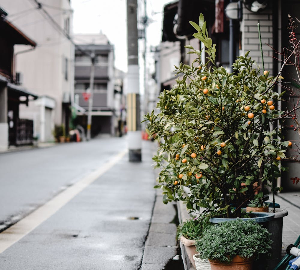 pexels-photo-5768926